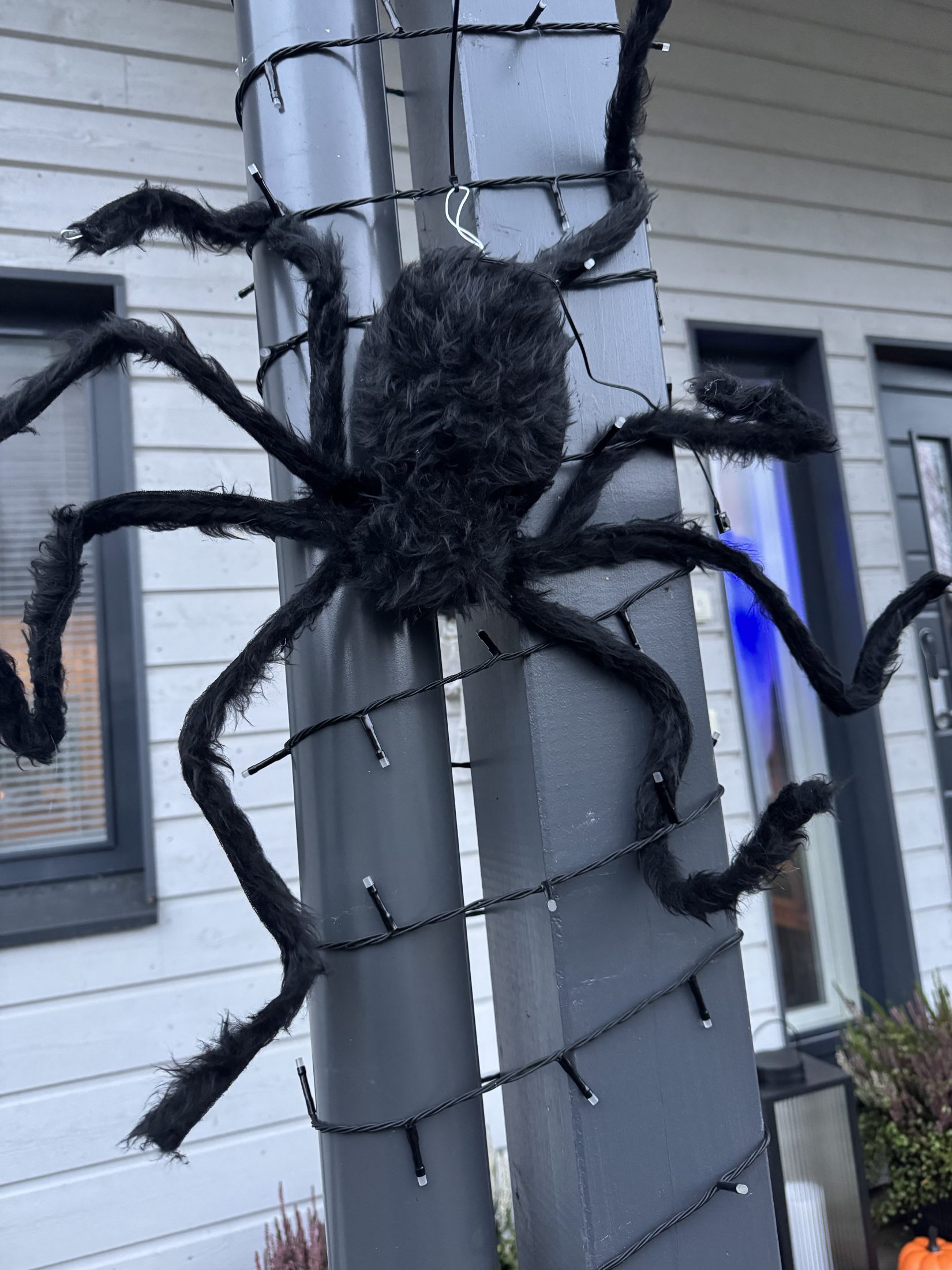 halloween-rekvisiitta-16